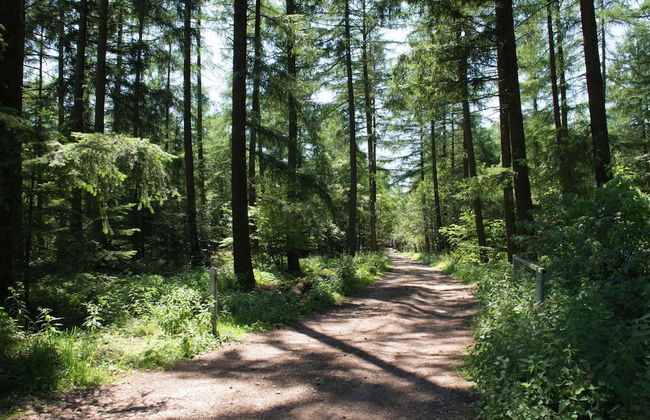 Cottage in the Heart of the Ardennes - Foto 62