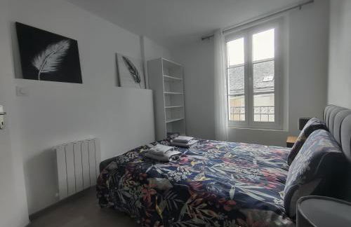 Appartement T3 PLUME Hyper centre d'ERNÉE - Foto 14