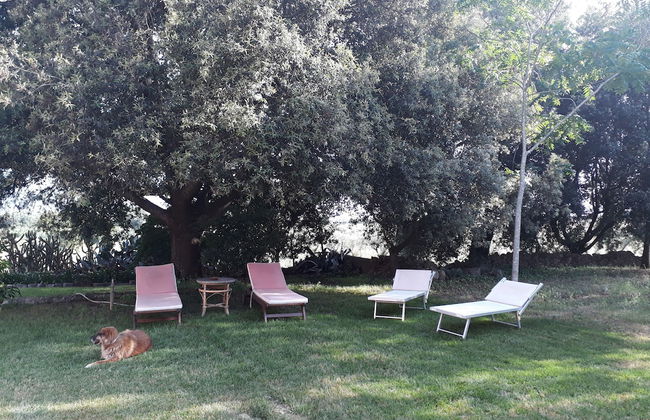 Tenuta Argiano - Foto 30