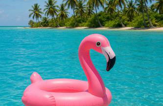 Casa Dos Palomas - Foto 2