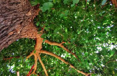 Apartments Relax Zone - Foto 22