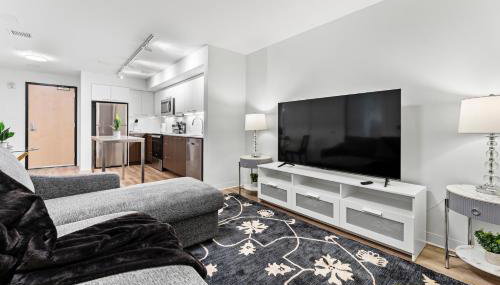 Furnished Luxury Apartment Next to Harvard Stadium - Foto 4, Other