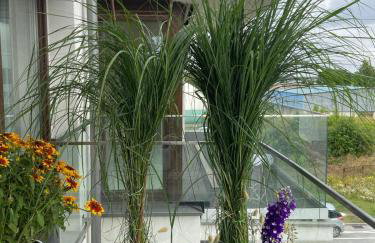 Czarny Słoń - elegancki apartament z klimatem - Photo 21