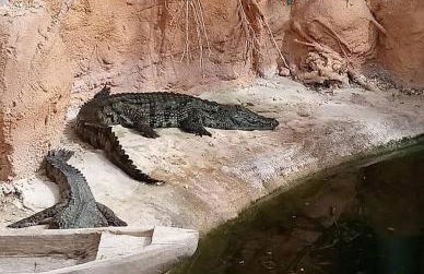 Gîte de charme dans un cadre calme et reposant - Foto 27