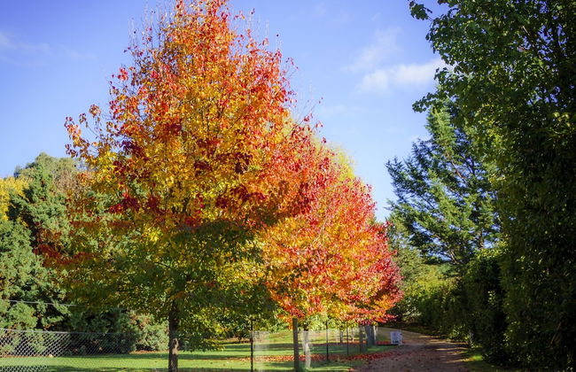 Bright Mystic Valley - Foto 26