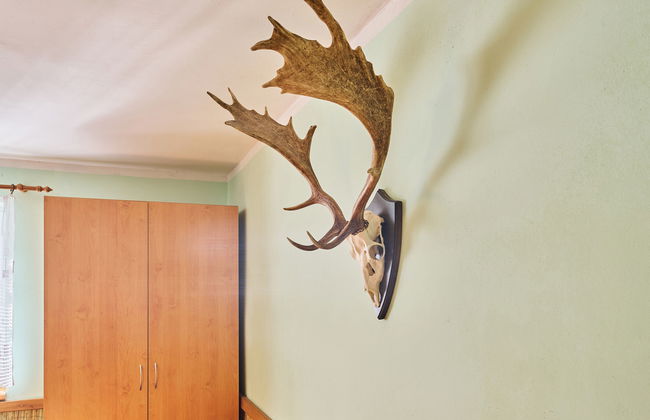 1 bedroom Apartment in Stárkov with swimming pool and garden - Photo 14