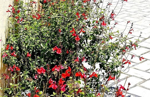 Reiki Luxury Villas - Foto 56