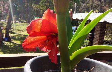 Alpes dos anjos Canela rs chalé luxo Wi-Fi SPLIT COZINHA perto do centro - Foto 38