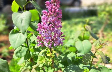 Apartment Ararita - Foto 21