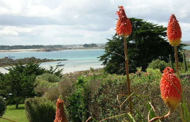 180deg Panoramic sea View, Apartment, Roscoff - Foto 12