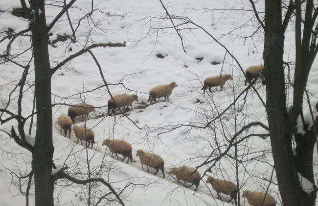 Wellness privát Štyri Lipy - Foto 27