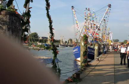 Goden Wind 20 - Foto 9