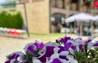 Agriturismo Brusignone - Foto 50