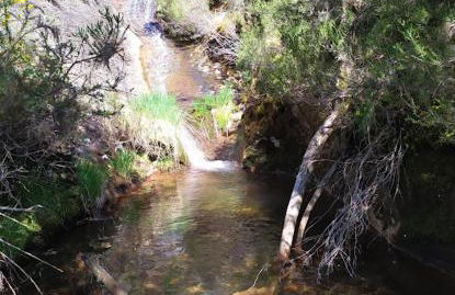 O Busto Aldea Rural - Foto 56