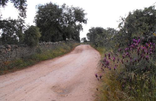 Apartamentos La Venta del Charco - Foto 70