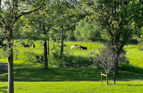 Ferienwohnung Strandliebe Lutterbek bei Laboe - Foto 17