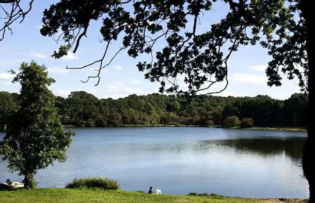 Modernly Furnished Cottage With Beautiful Terrace by a Lake - Foto 41