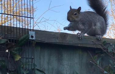 Becontreelodge - Foto 53