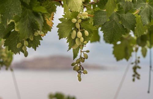 Sea view Amoni villa - Foto 37