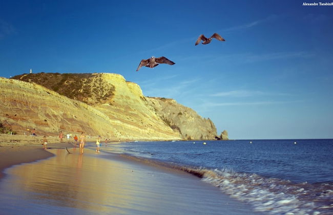 A06 - Seaview 1 Bed Apartment by DreamAlgarve - Photo 33