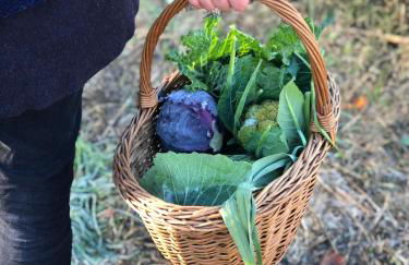 La Casella Antico Feudo di Campagna - Foto 95