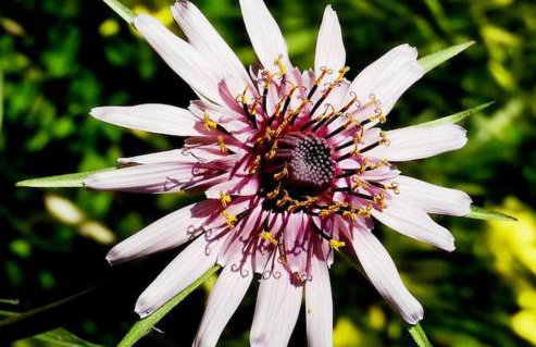 Orne Magical Retreat - Foto 48