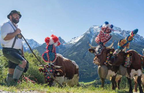 NEUES ruhiges Apartment, Bergblick, Stellplatz - Foto 48