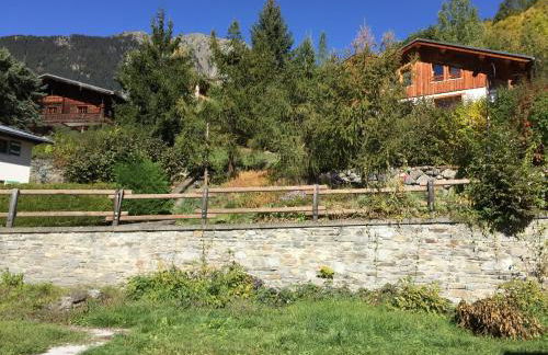 Le petit Saint Bernard - Photo 23