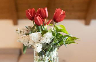 Die Villa bei Meran - Foto 23