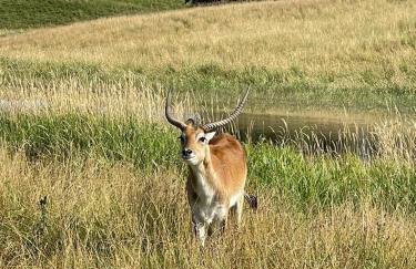 Osada Jaćwingów - Foto 30