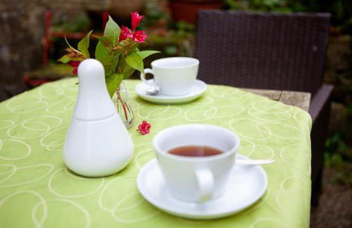 Alte Falknerei - Foto 28