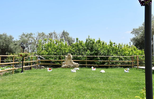 Il vecchio frantoio - Foto 25