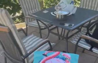 Bela & Mare - Photo 12