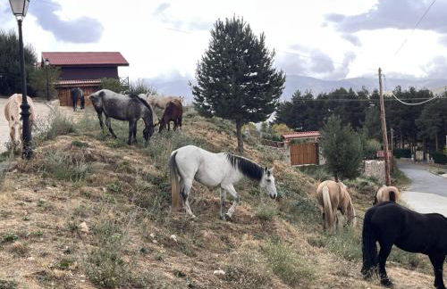 Cara norte de Gredos - Photo 23