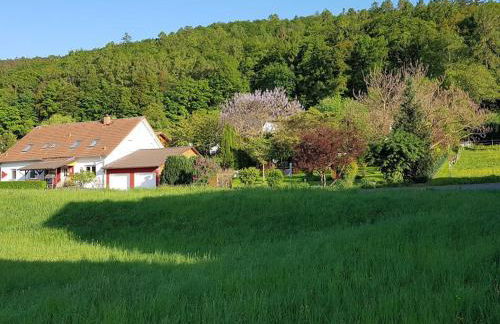 Ferienwohnung Schmidt Werratal - Foto 19