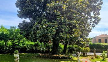 Villa Nani Mocenigo, Golin - Photo 2