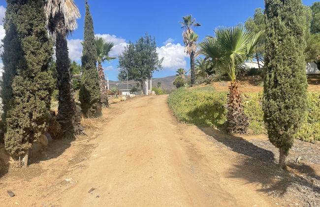 Wine country In Valle de Guadalupe - Foto 18