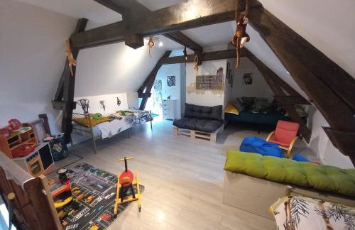 Beauval Saint Aignan,châteaux de la Loire gîte Le Royaume Sauvage - Foto 1