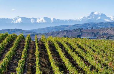 Villa Elodie - Foto 51