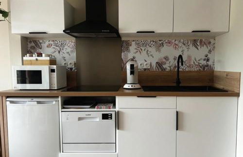 L'arbre de soie Futuroscope Albizia - Foto 3