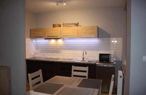 Apartamenty Pisz - Foto 16