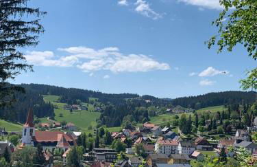Schwarzwald-Idylle in Schonach - Foto 42