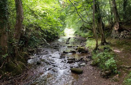 Luxury Cottage near Hay-on-Wye - Foto 20