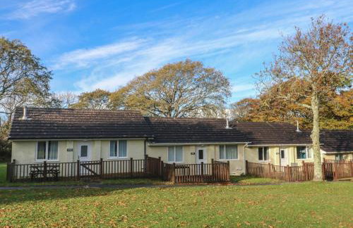 Little Egret - Number 2 - Foto 18