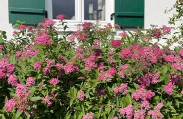 Stilvolles Ferienhaus Chalet 1750 im Allgäu - 200qm - beste Ausstattung - traumhafter Blick - bis 8 Personen - Foto 33