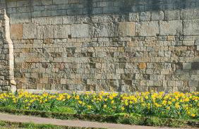 Victorian Farrar Cottage - Foto 49