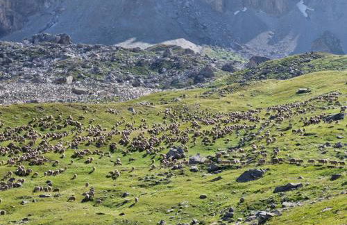 Résidence & Spa Les Cîmes d'Auréa - Foto 28