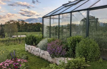 Zum Rebberg Ferienwohnungen - Foto 34