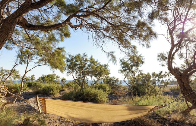 Scorpios Beach Santorini - Foto 56