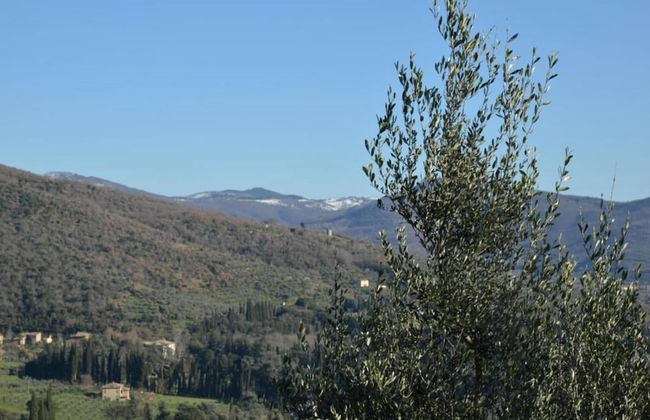 Holiday Home in Cortona With Pool - Foto 33